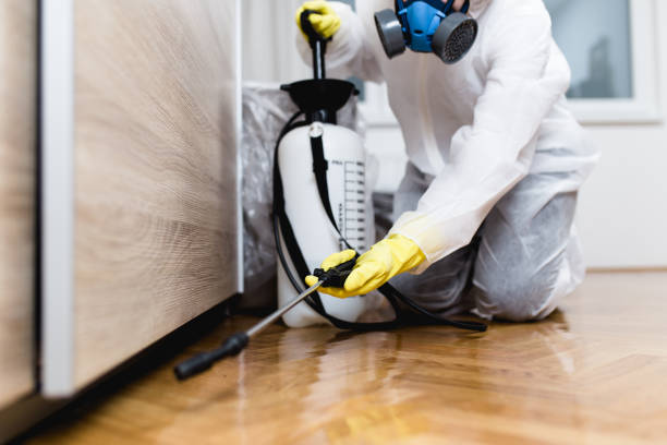 Flea Control Services in Woodruff, SC
