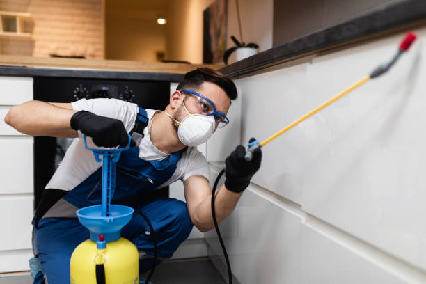 Best Residential Pest Control  in Woodruff, SC
