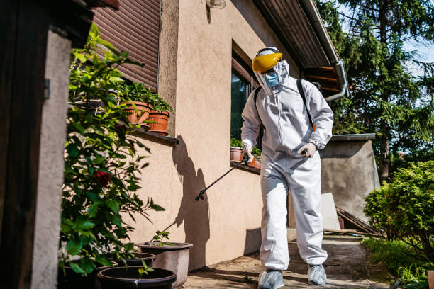 Best Wasp Removal Services  in Woodruff, SC