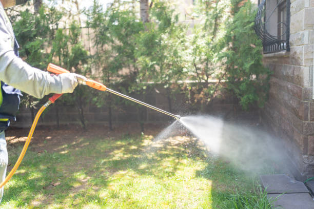 Best Flea Control Services  in Woodruff, SC