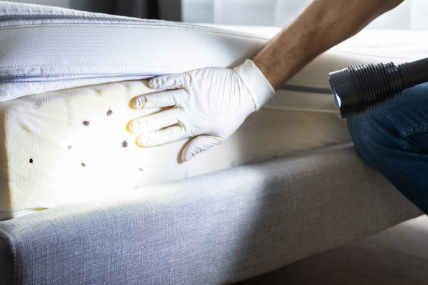 Best Pest Inspection Near Me  in Woodruff, SC